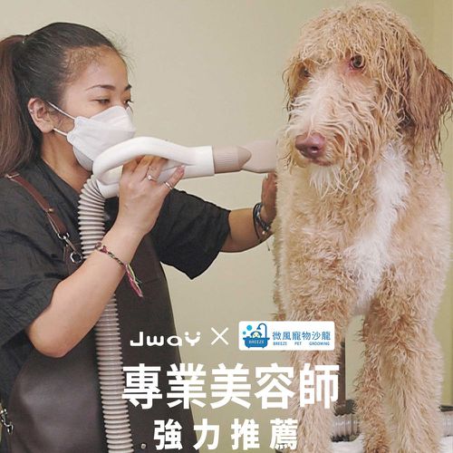 寵物溫控負離子吹乾機(JY-PD01/吹水機/寵物美容/吹風機/烘毛機/低噪音) (白色)-JY-PD01