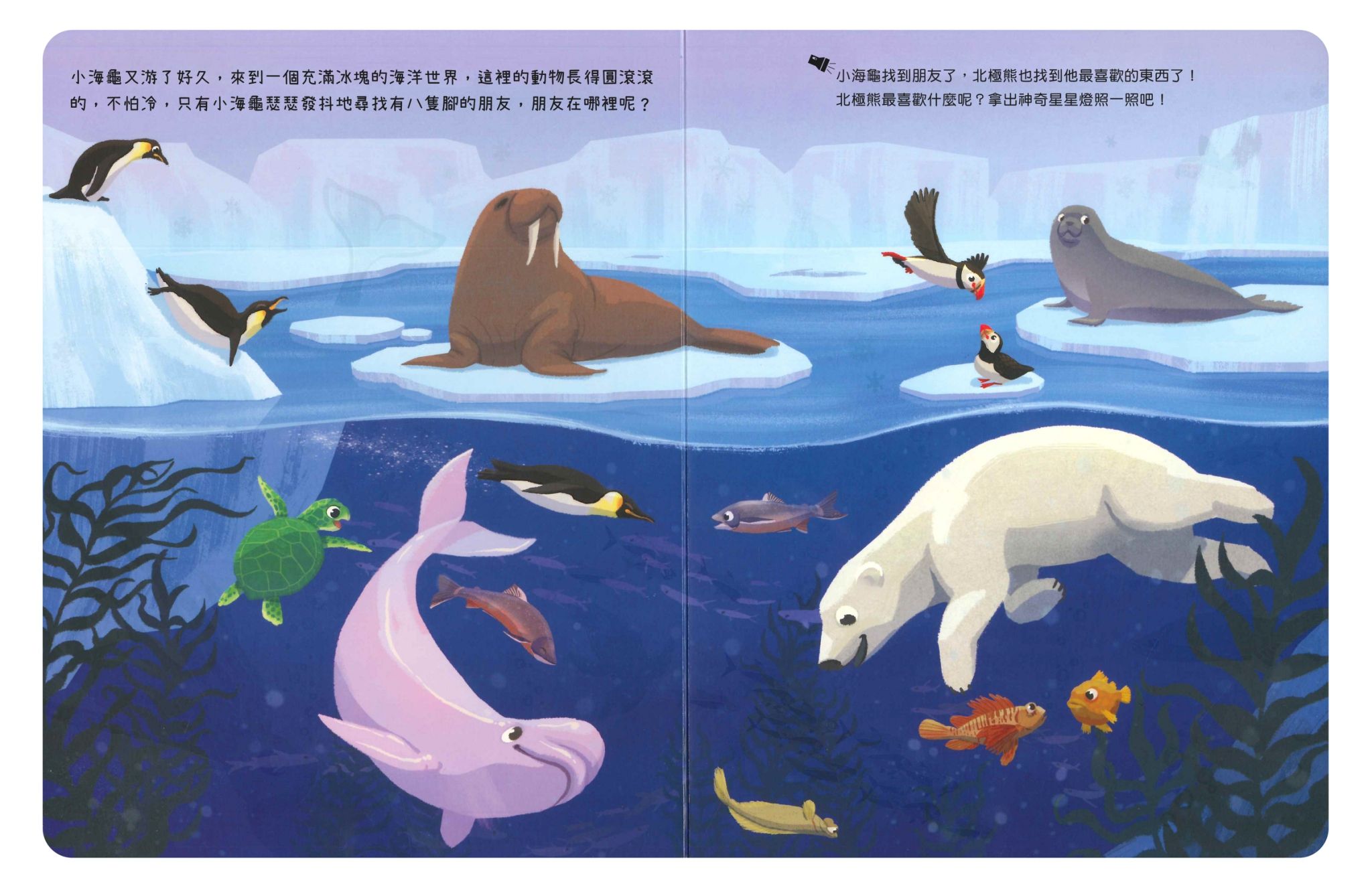 神奇星星燈 海洋朋友在哪裡