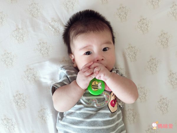 日本 Combi - 蜜蜂花瓣固齒玩具-3個月起