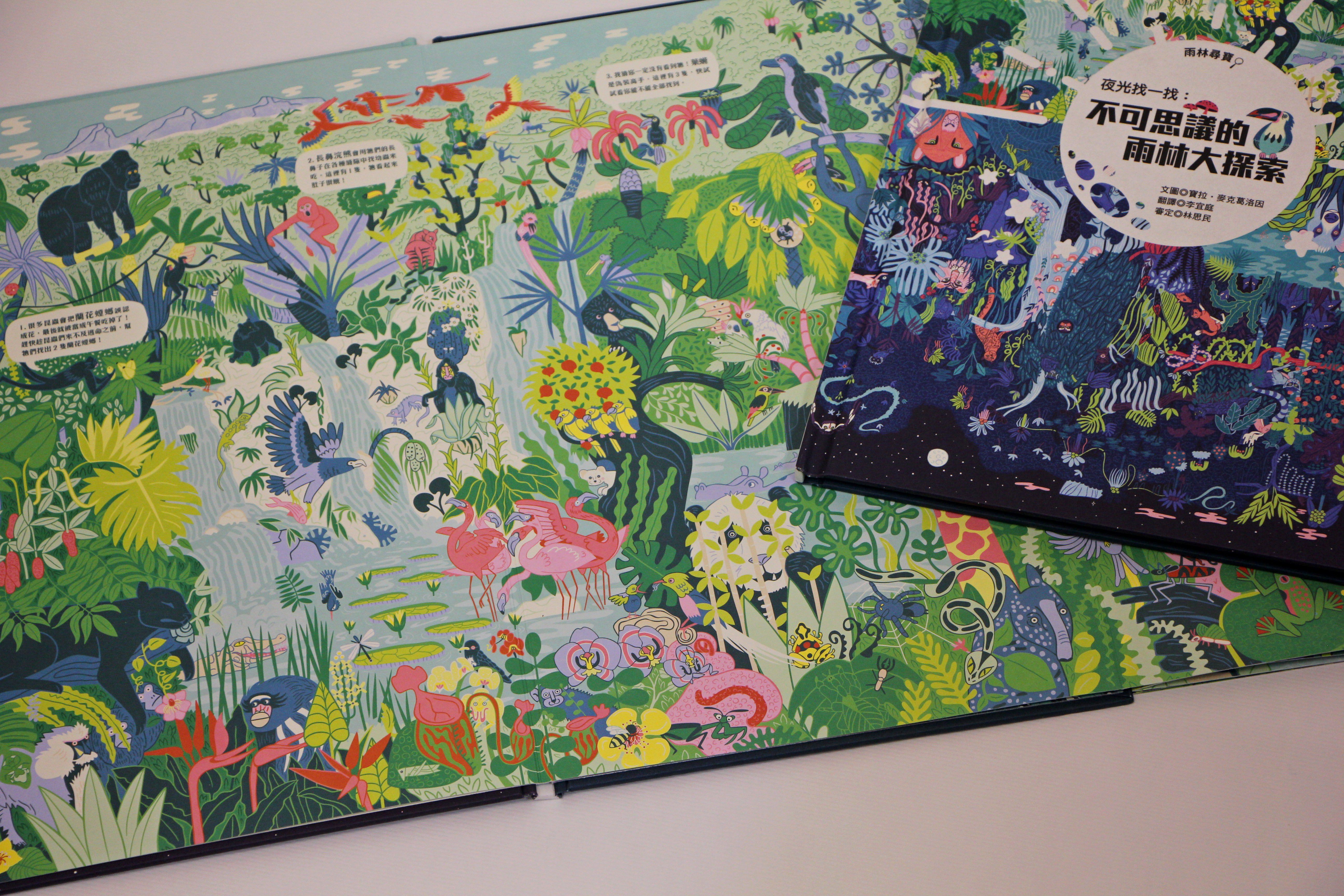 夜光找一找：不可思議的雨林大探索