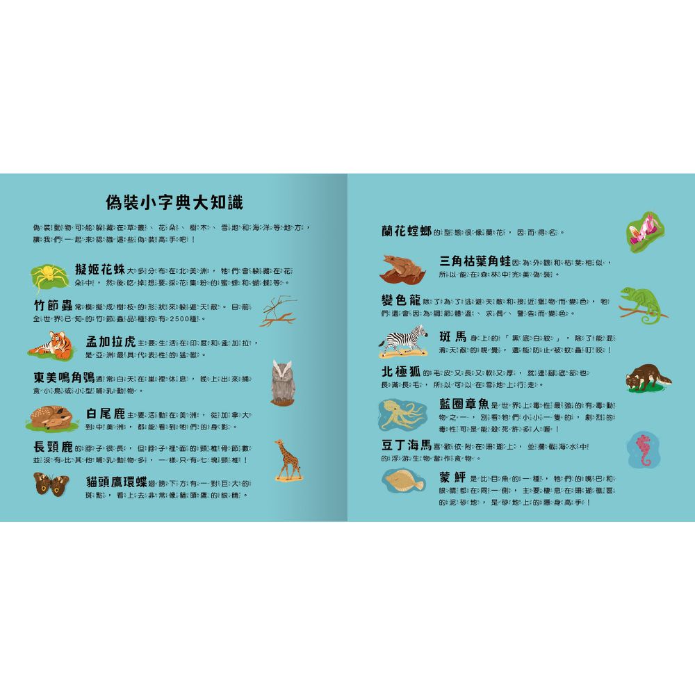 登登登！透光Show動物的偽裝術！