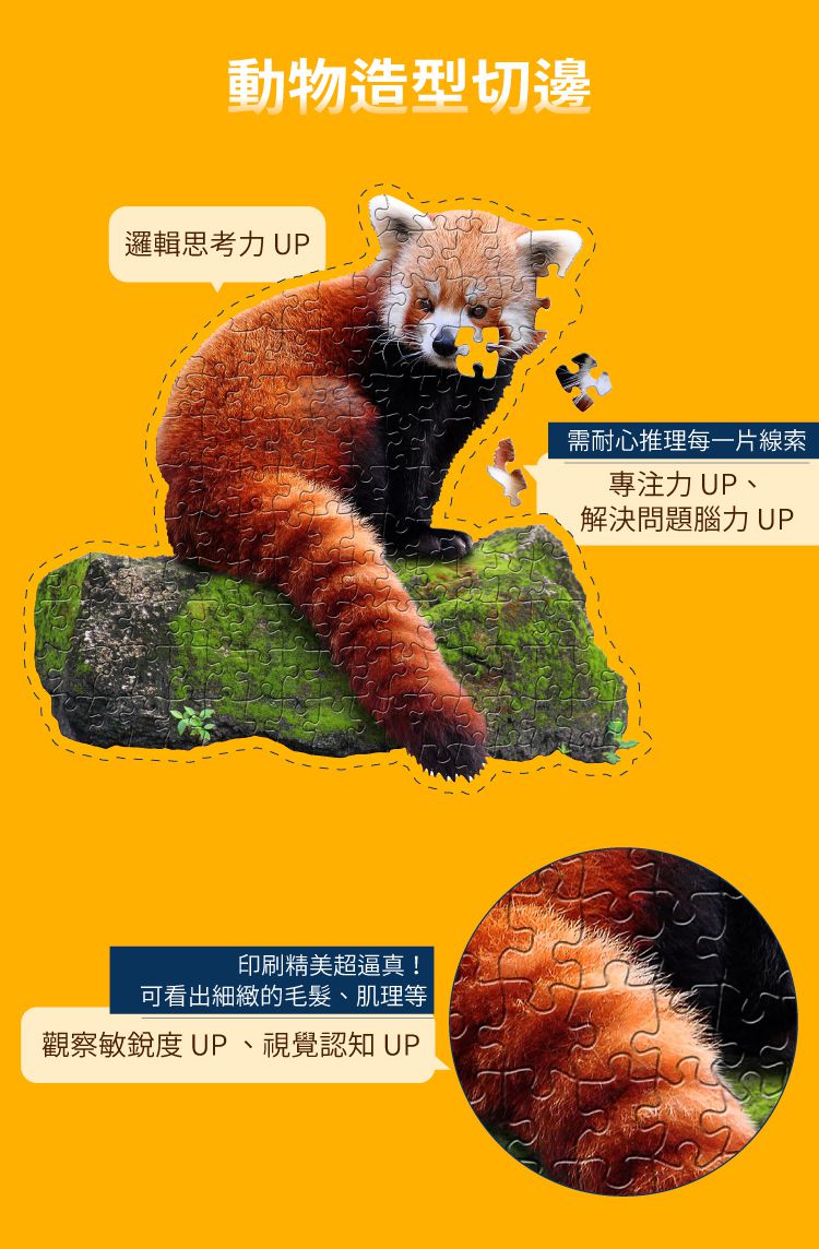 Madd Capp - I AM 動物拼圖-100,我是小熊貓