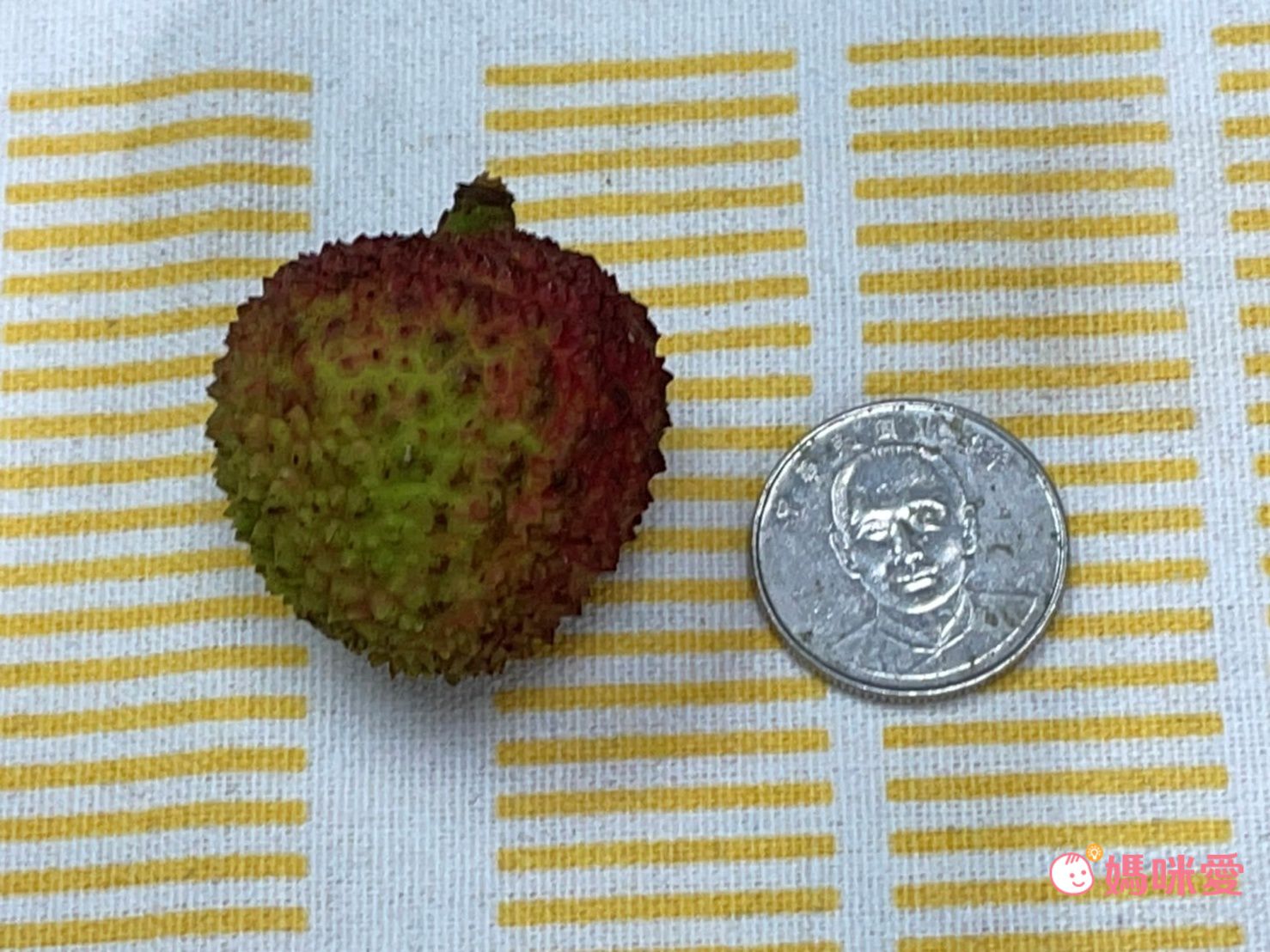 爆汁玉荷包/荔枝！高雄大樹頂級產銷 ☞產地直送最新鮮