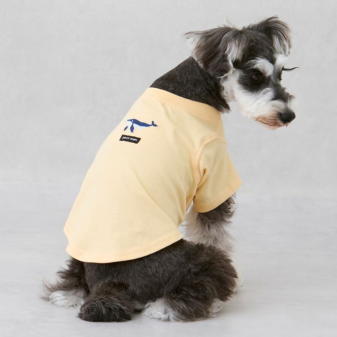 日本 petit main - [低價]接觸冷感 刺繡短袖上衣-大象-淺藍