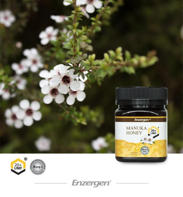 [紐西蘭] Enzergen® - 麥蘆卡蜂蜜 UMF 20+-250g