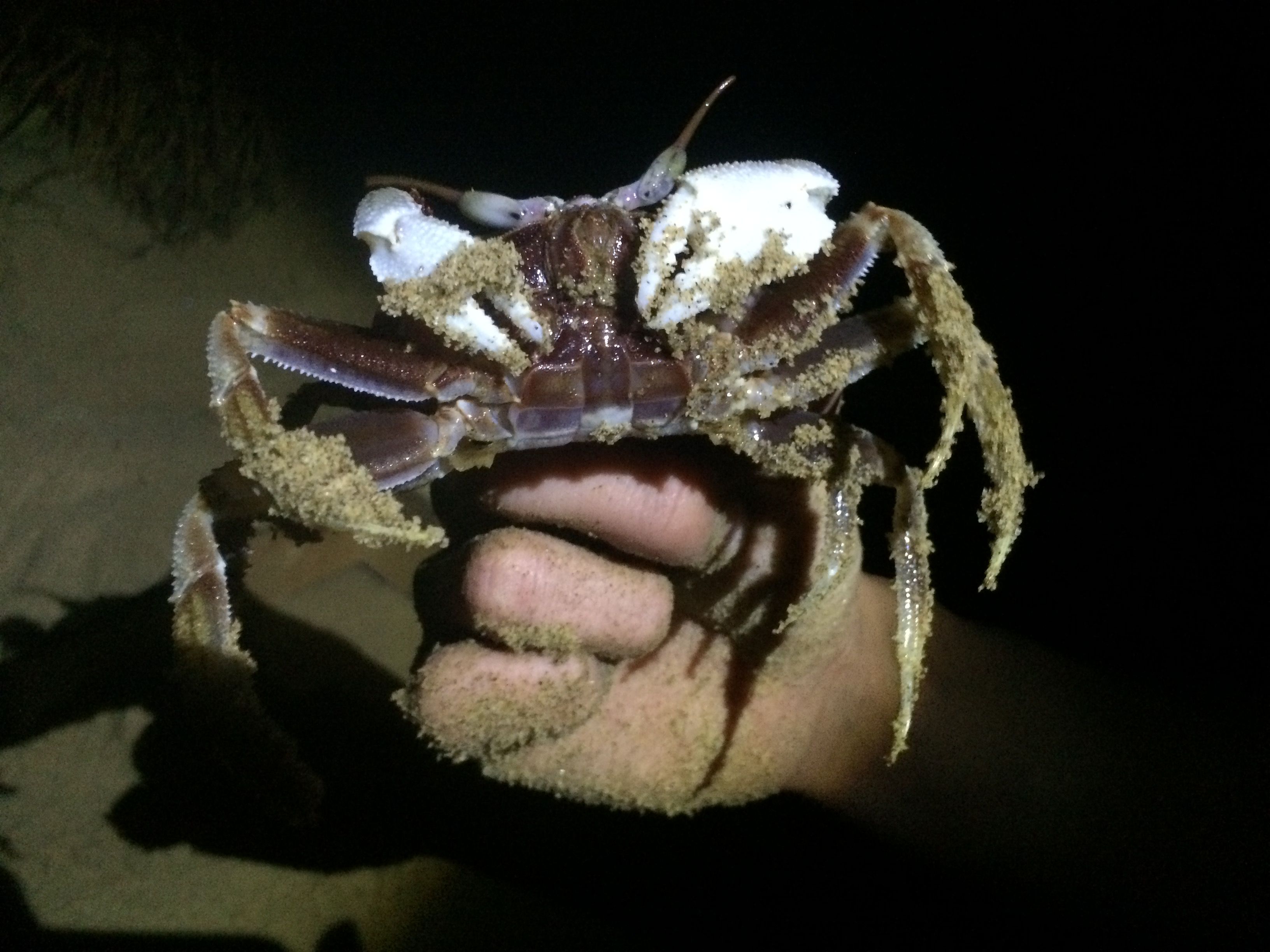 5折泡湯趣！福容大飯店【福隆】限時特賣