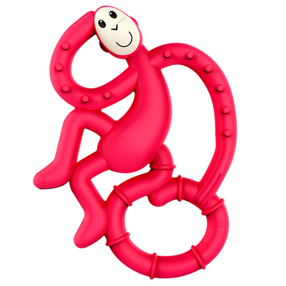 Matchstick Monkey - 跳舞猴牙刷固齒器-櫻桃猴 (跳舞猴款)