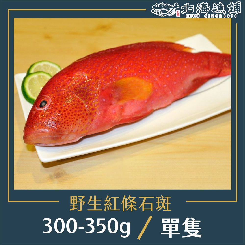 野生紅條石斑300-350g/包