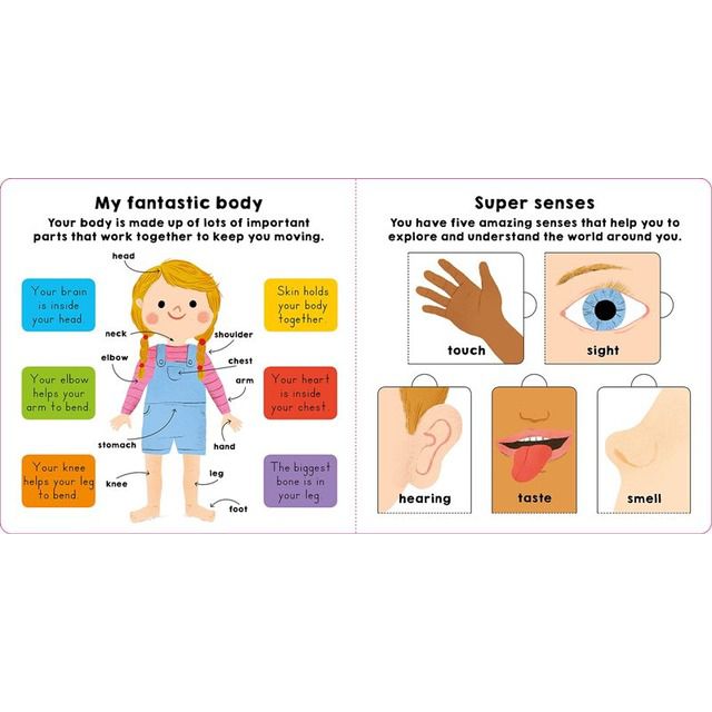 MY LITTLE WORLD: MY BODY 我的小小世界：認識身體構造（操作書）