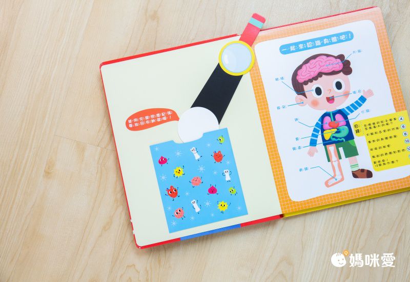 双美生活文創 - 【獨家組】我的第一本觸控點讀有聲書(ABC＋學前認知) ＋探照燈找一找：透視身體大解密