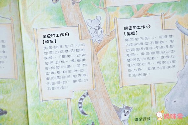 科學不思議1：昆蟲量體重