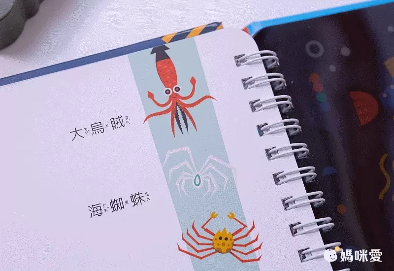 【禾流文創】拿起手電筒，來場夜間探險！『Spotlight！夜遊系列』