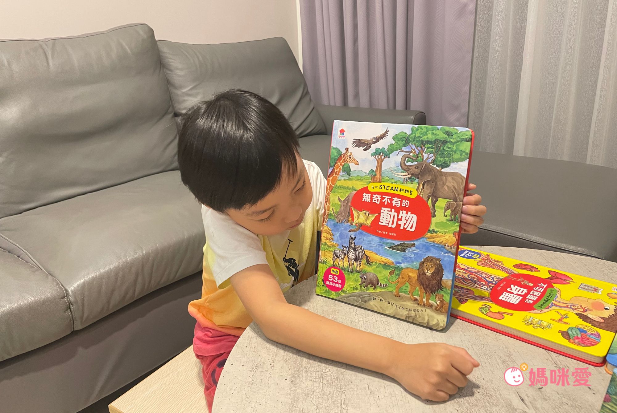 在家輕鬆玩實驗《STEAM 實驗魔法盒》，成為小小科學家好簡單！