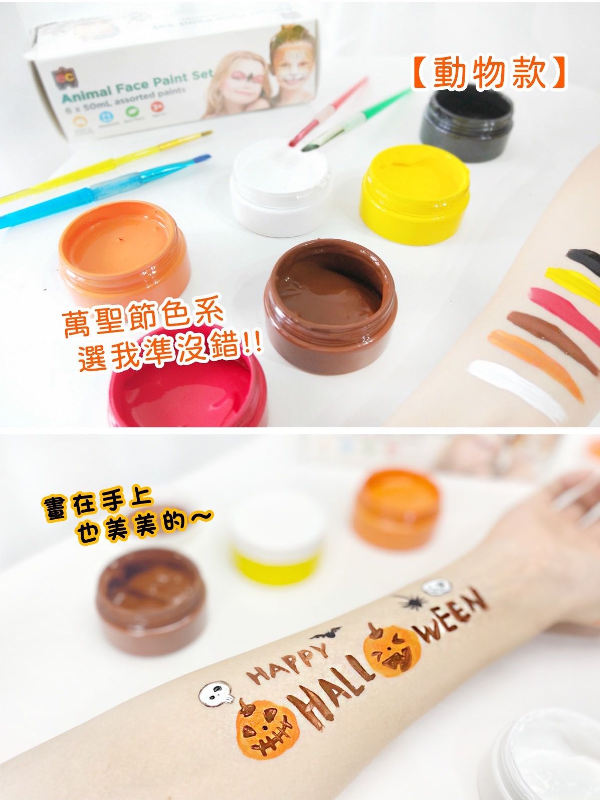 澳洲9成學校指定【Educational Colours】美術用具