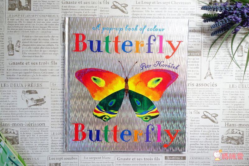 英國Miles Kelly、Usborne 看圖學英文 精美細緻畫風＋操作學英文