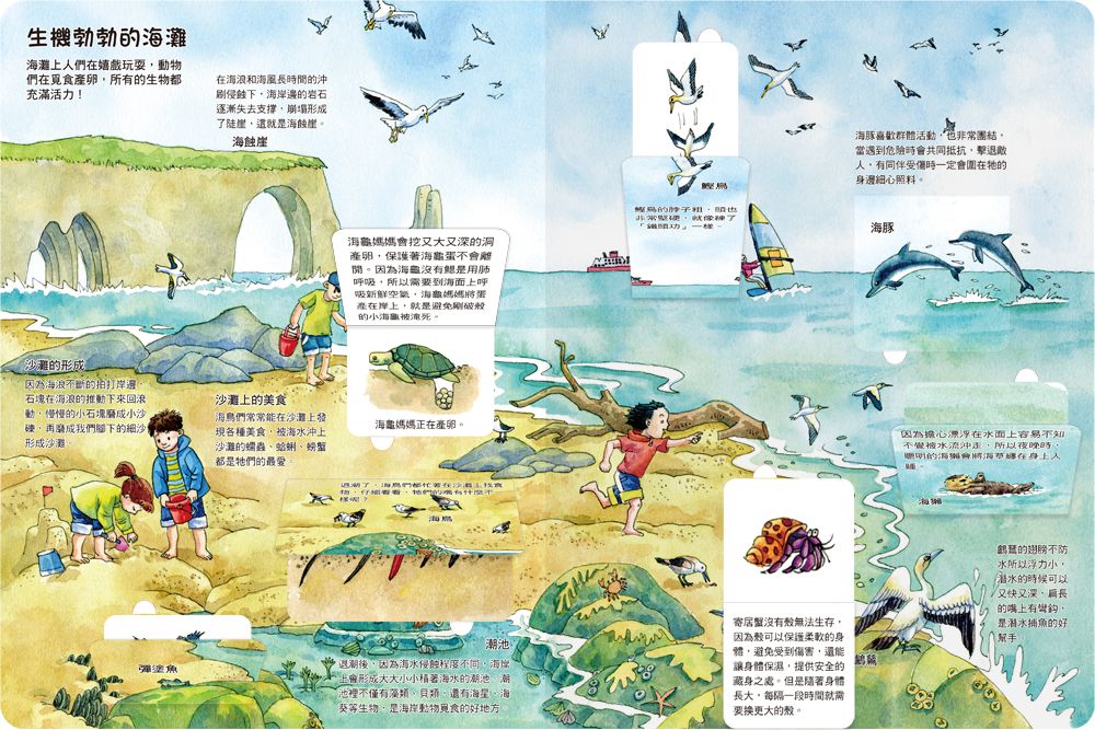 我的STEAM翻翻書：生生不息的海洋-內含7個場景+51個翻頁小機關