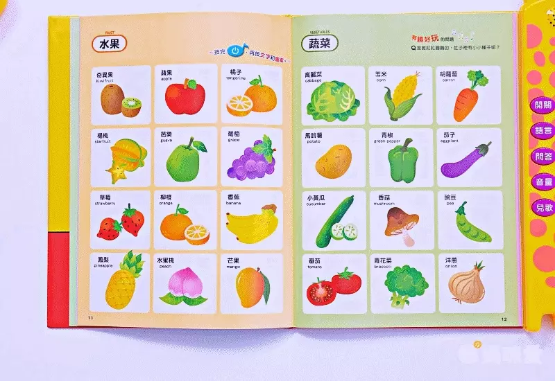 用手指點一點會說話有聲認知書(點點書1)