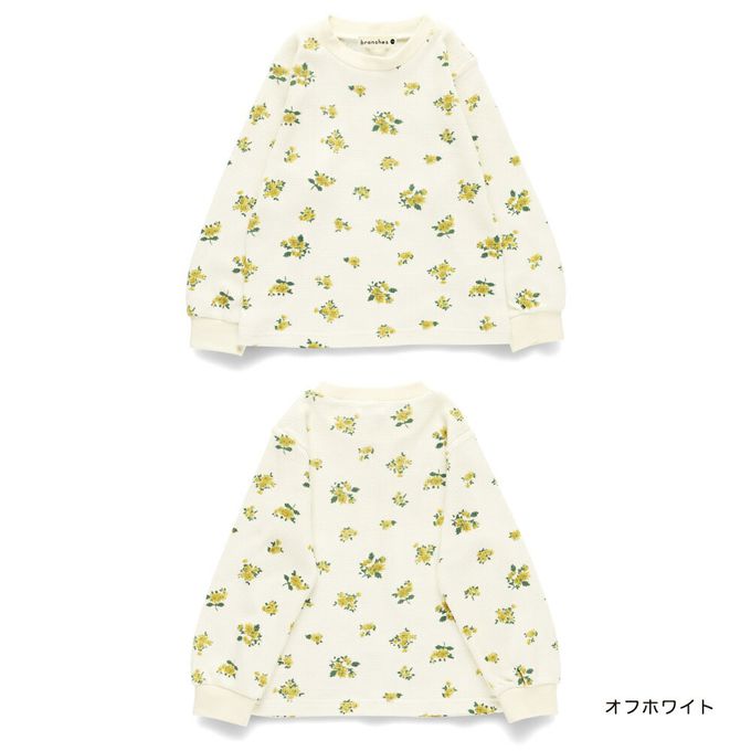 日本 BRANSHES - 清新女孩羅紋長袖上衣-圓點-黑