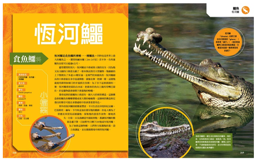 國家地理終極爬蟲百科 (精裝 /272頁 /全彩印刷)