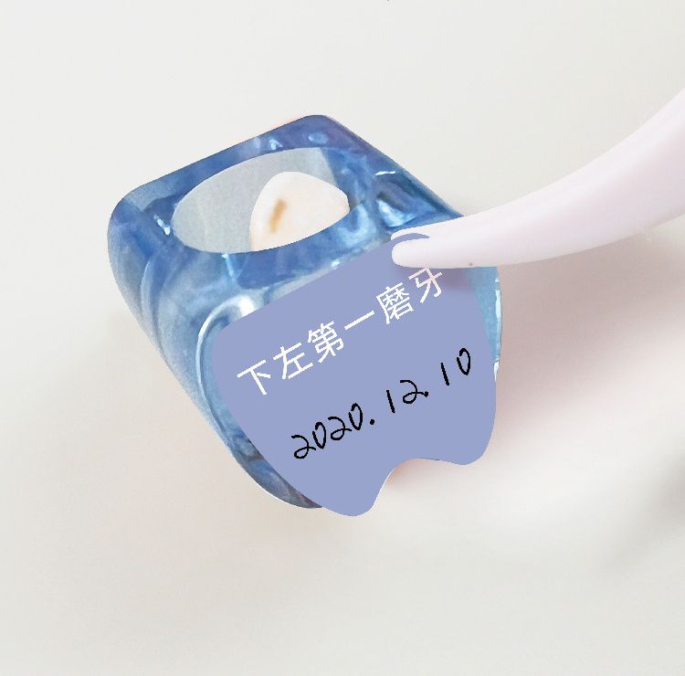 寶寶乳牙收藏盒-女生款-粉色 (27x23cm)