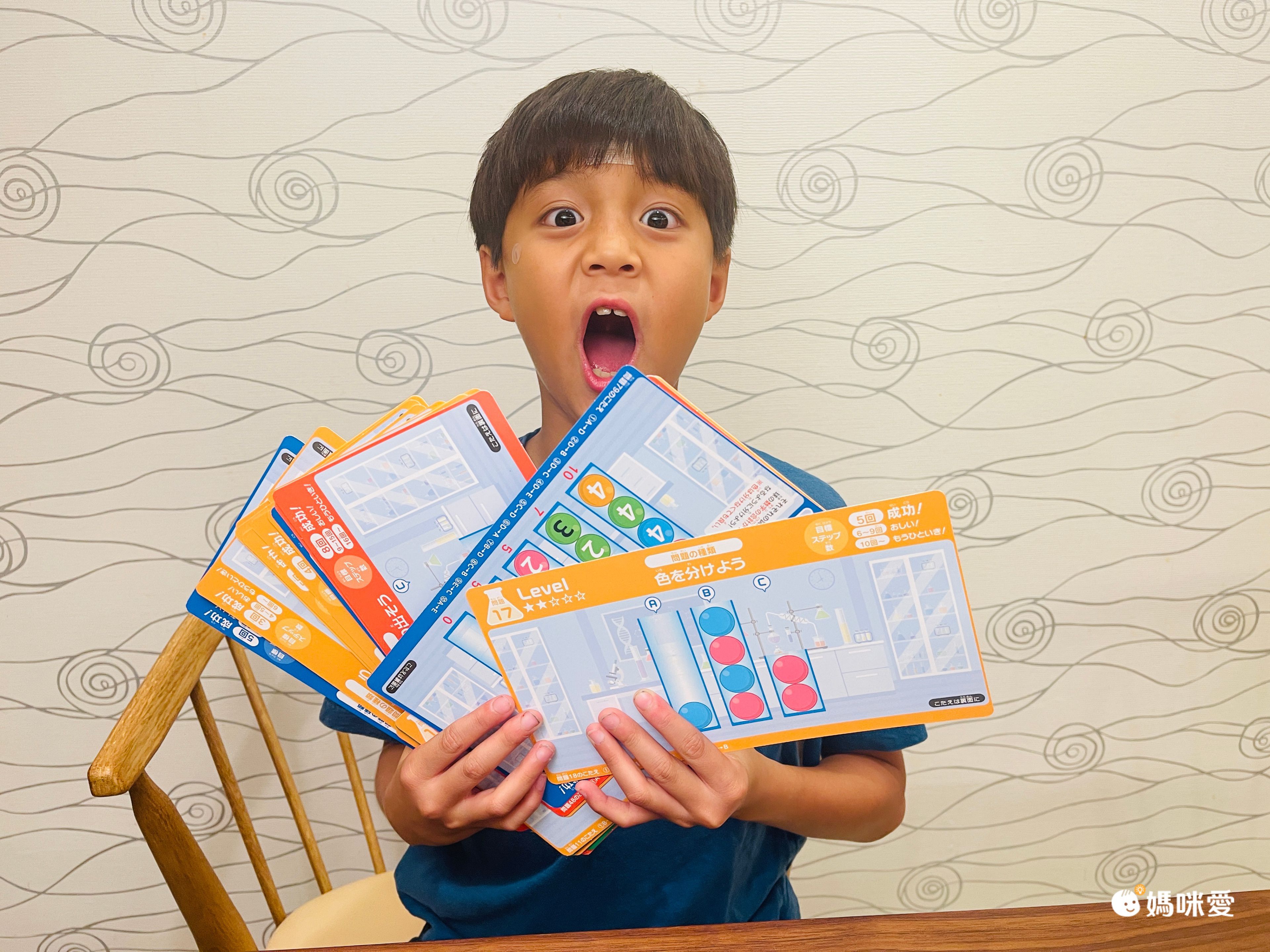 榮獲日本玩具大賞【HANAYAMA】腦力開發益智玩具