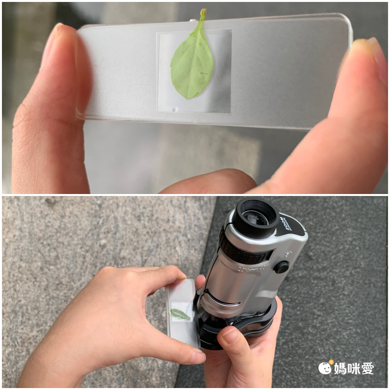 德國 Moses - 小探險家-便攜型顯微鏡