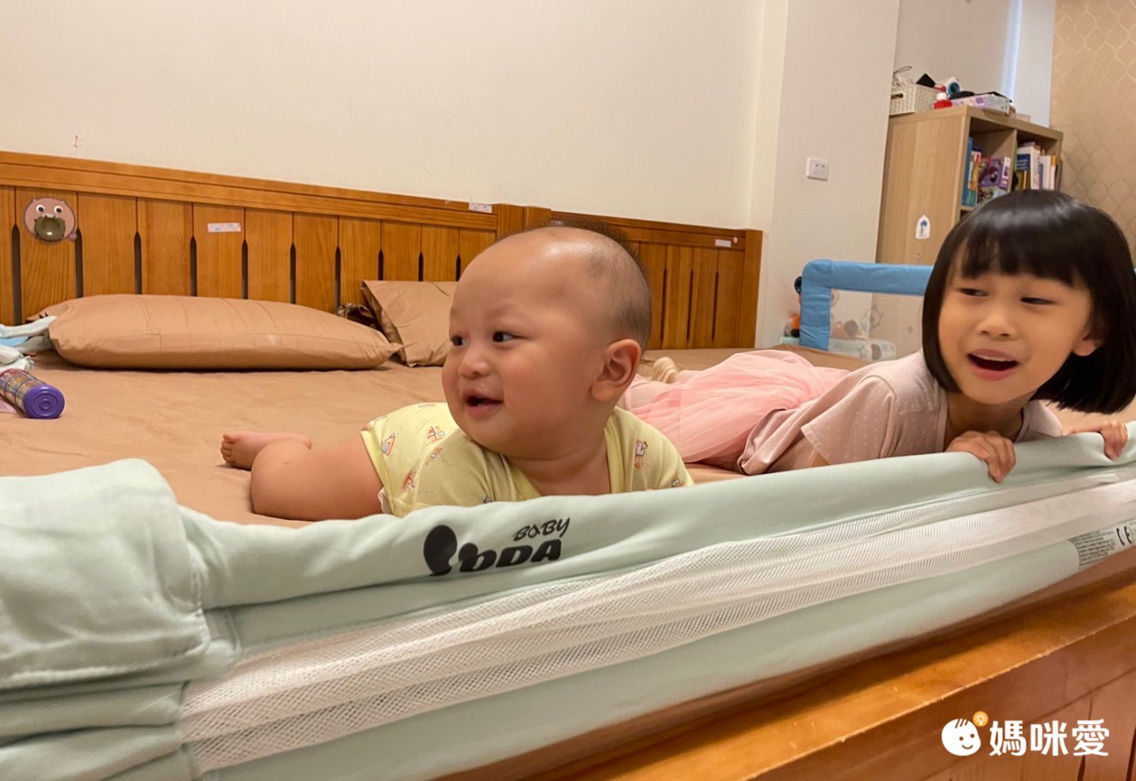 YODA - 垂直升降床邊護欄-果實灰