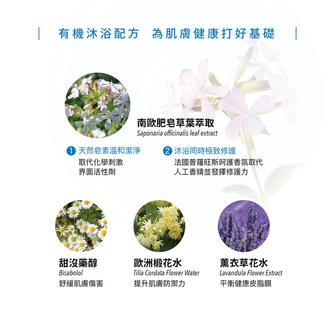 大地之愛 - 寶貝三合一泡泡露-500ml