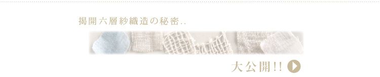 日本 Hoppetta - Amelie異想世界六層紗睡袍 大童