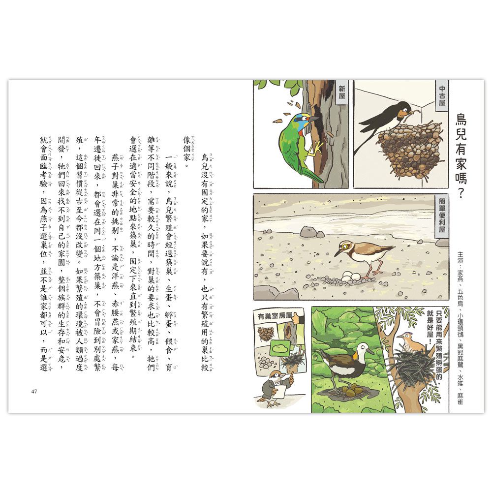 就愛鳥事一籮筐：鳥兒趣問妙答