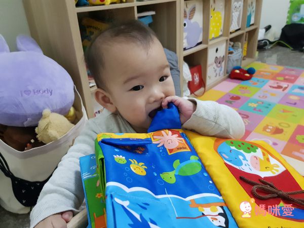 日本 Ed.Inter - 布玩系列 - 小手訓練百寶箱