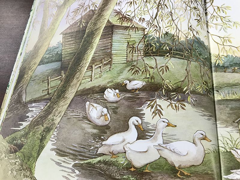 風境農場動物繪本-精裝6冊、故事點讀面板、導讀手冊-精美書架式書盒