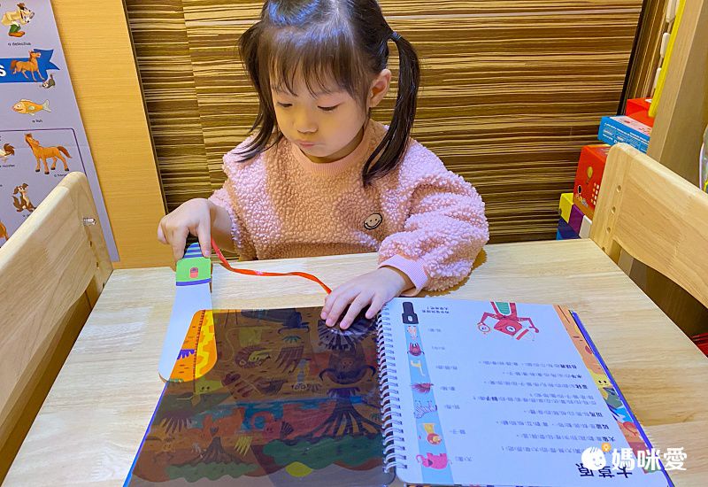 【禾流文創】拿起手電筒，來場夜間探險！『Spotlight！夜遊系列』