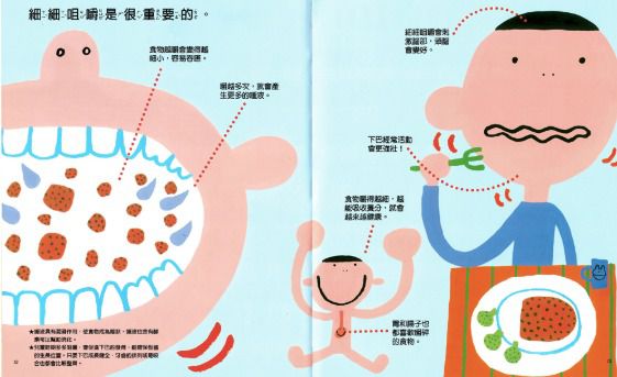 牙齒和嘴巴的奧秘