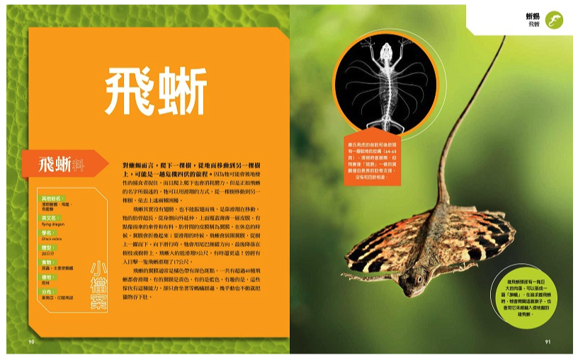 國家地理終極爬蟲百科 (精裝 /272頁 /全彩印刷)