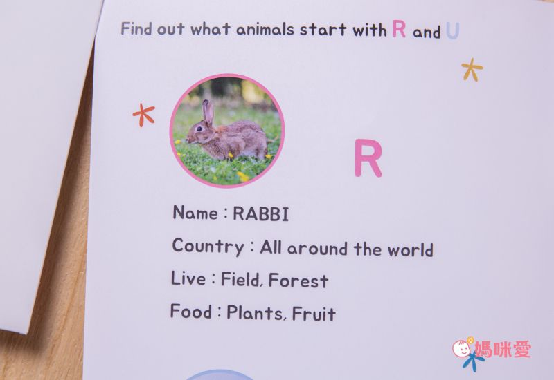 韓國Funt - 英文字母立體拼圖全套(26字母+1隱藏版) 贈精美提袋1只+北歐風冰箱磁鐵掛勾(款式隨機出貨)