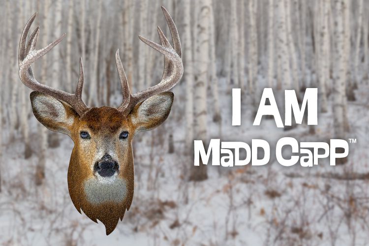 Madd Capp - I AM 動物拼圖-550,我是公鹿
