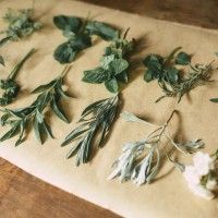用戶頭像