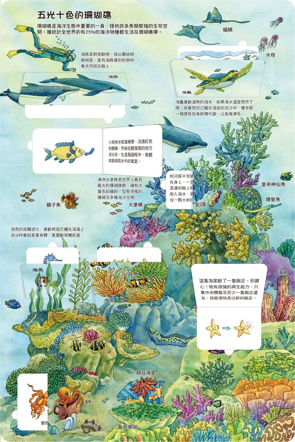 我的STEAM翻翻書：生生不息的海洋-內含7個場景+51個翻頁小機關
