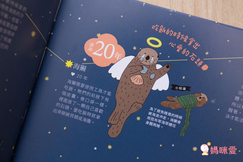 ♕ Miss Jill x Evan哥 專屬團購 ♕ 上誼童書