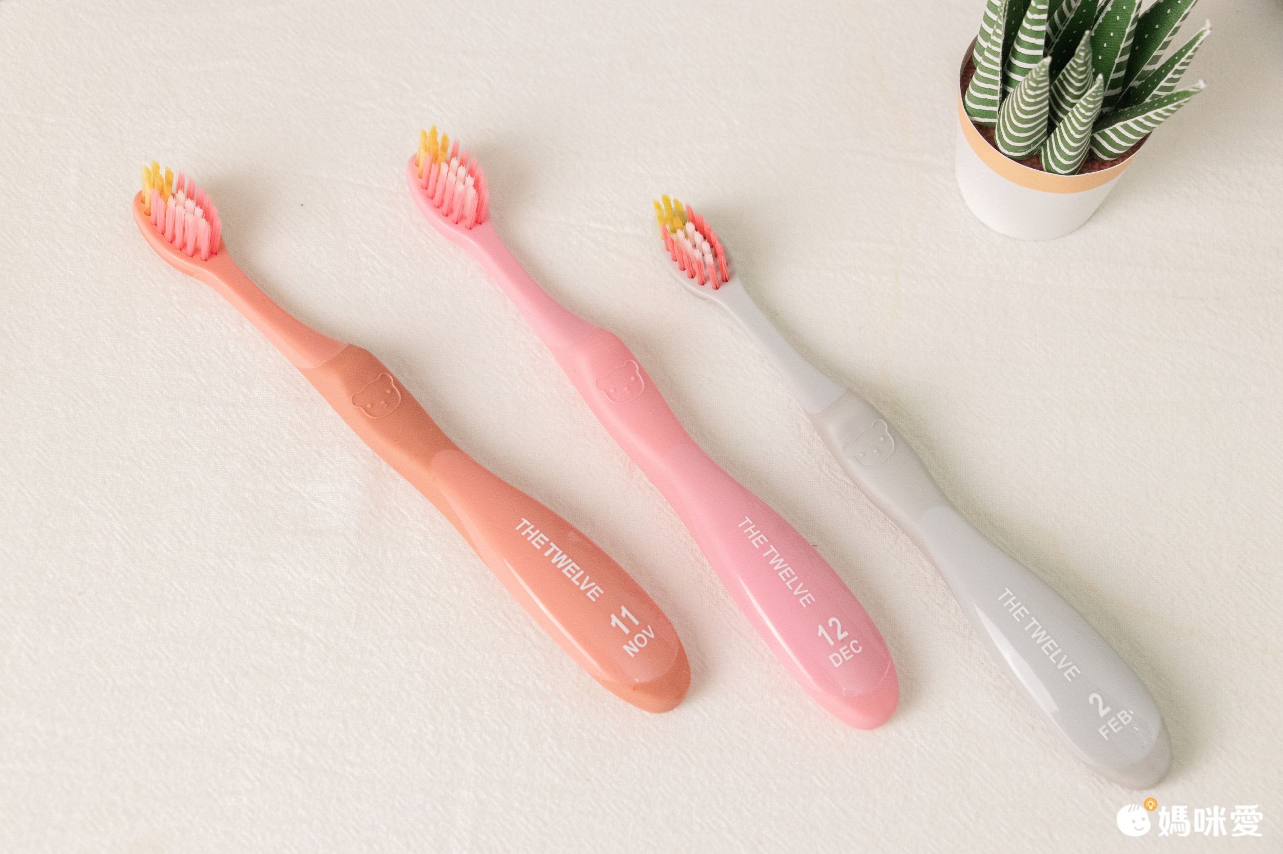 握柄有清楚標示月份，方便定期汰換