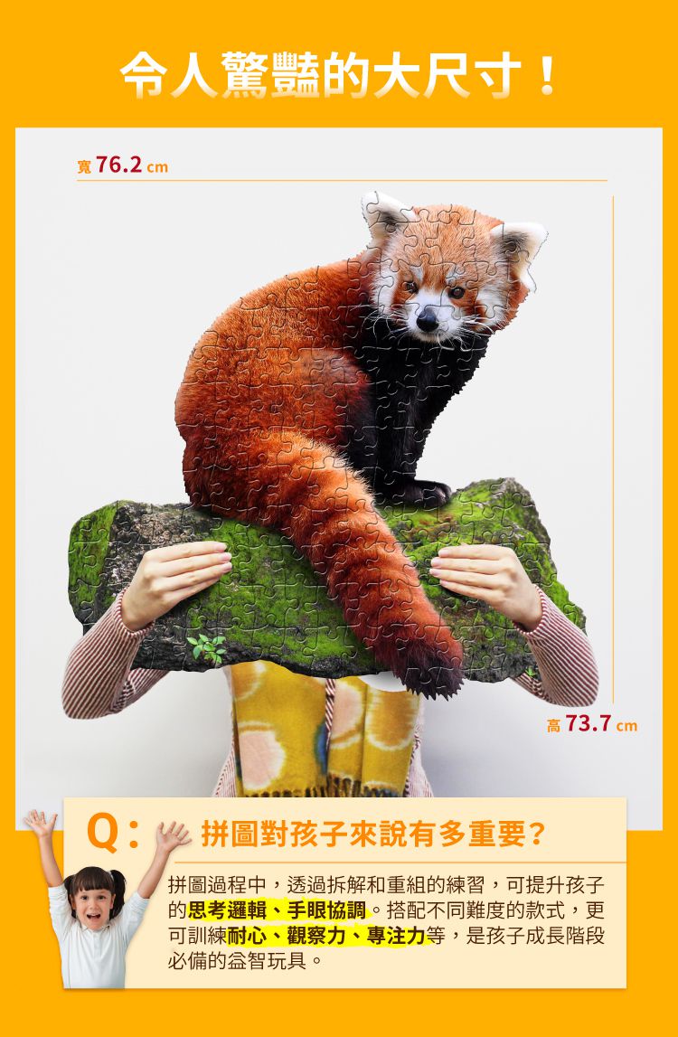 Madd Capp - I AM 動物拼圖-100,我是小熊貓