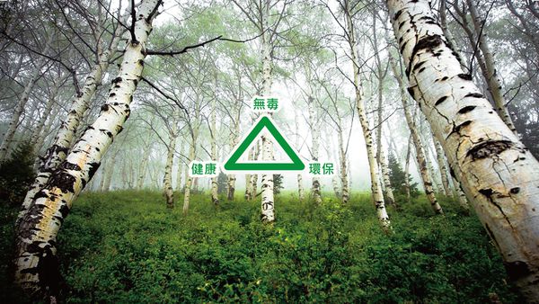 大將作 kid2youth - Qmomo 兒童成長餐椅(附輪) 套組-白樺木-小花椅墊