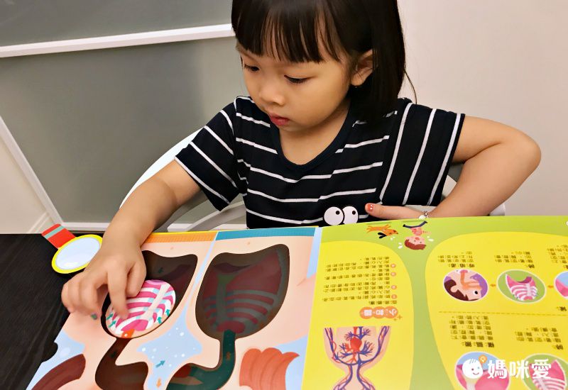 双美生活文創 - 【獨家組】我的第一本觸控點讀有聲書(ABC＋學前認知) ＋探照燈找一找：透視身體大解密