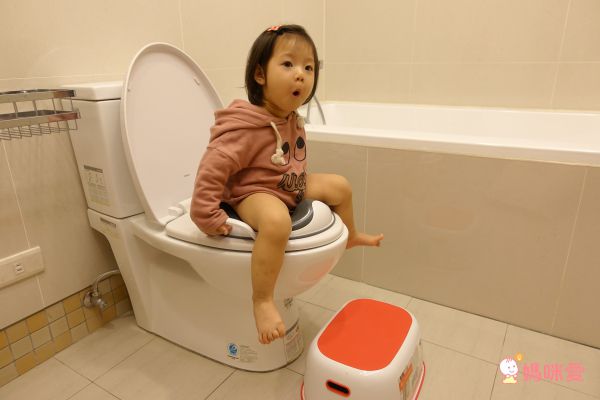 美國 PRINCE LIONHEART