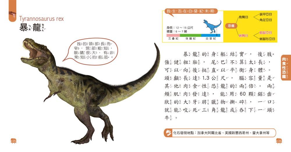 双美生活文創 - 5Q益智教具：恐龍探險隊-內附恐龍模型+場景配件+恐龍圖鑑25PCS