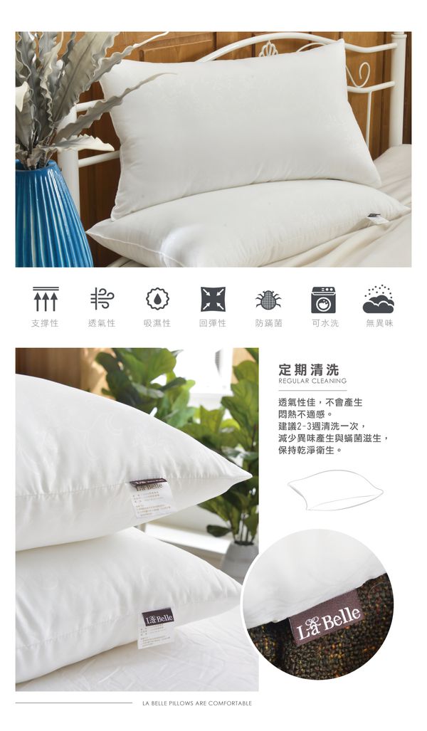 格蕾寢飾 Great Living - (買一送一) 義大利La Belle《日本防蹣抗菌可水洗極致舒柔枕》