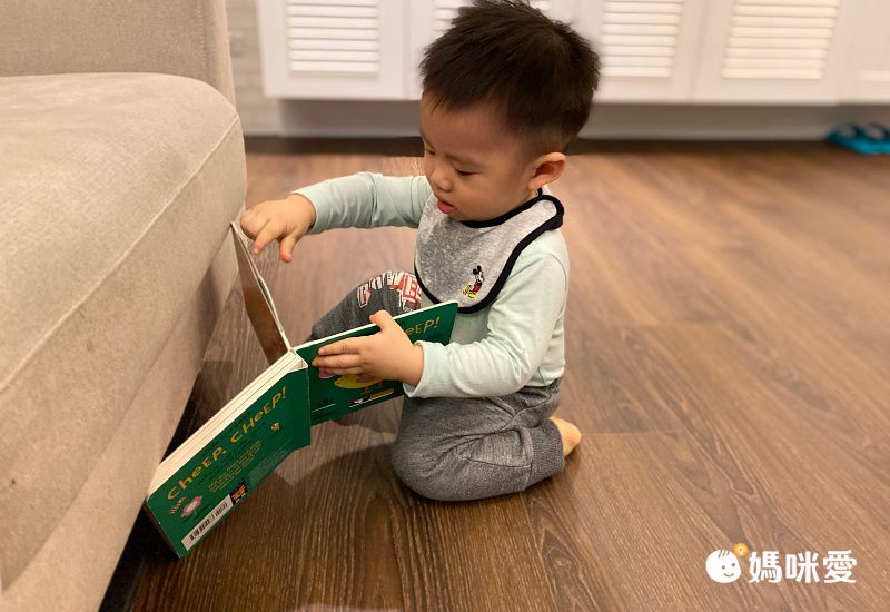 Roar!叫叫大恐龍音效書，聽聲音認識各類型恐龍！