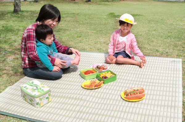 日本池彥 - 過敏協會認證 日本製防蟎蟲野餐墊 / 地毯(4-5人)-淺綠紋路 (174x174cm(江戸間2畳))