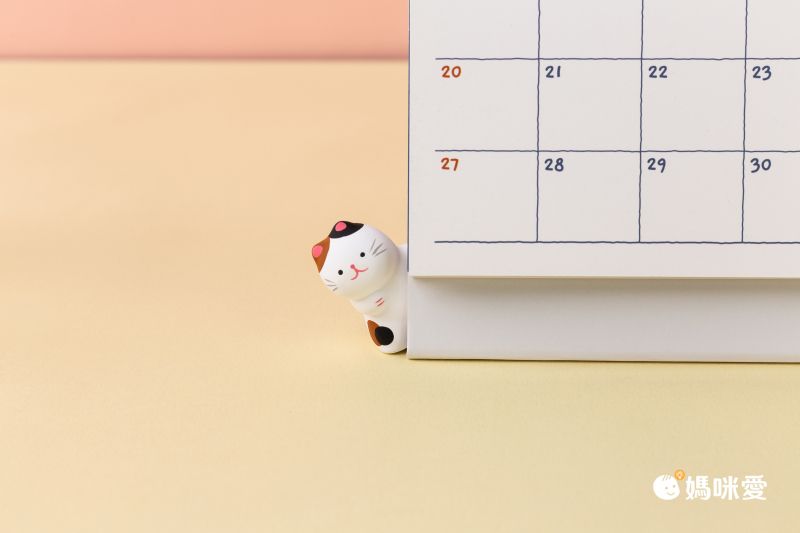 日本代購 - 祈求好運 日本動物造型御神籤/擺飾-黑貓-黑貓 (約3×2.5×4cm)